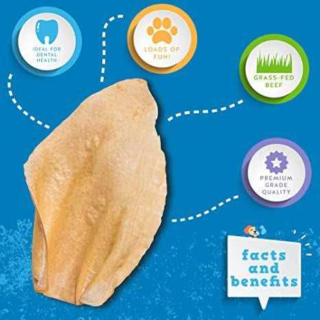 Cow Ears I938453