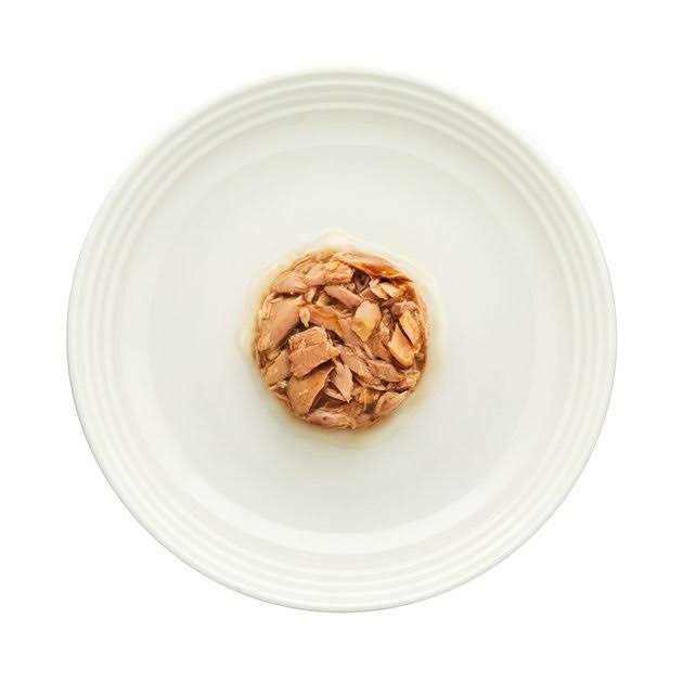 Gravy Tuna Fillet Grain Free Cat Food A864472