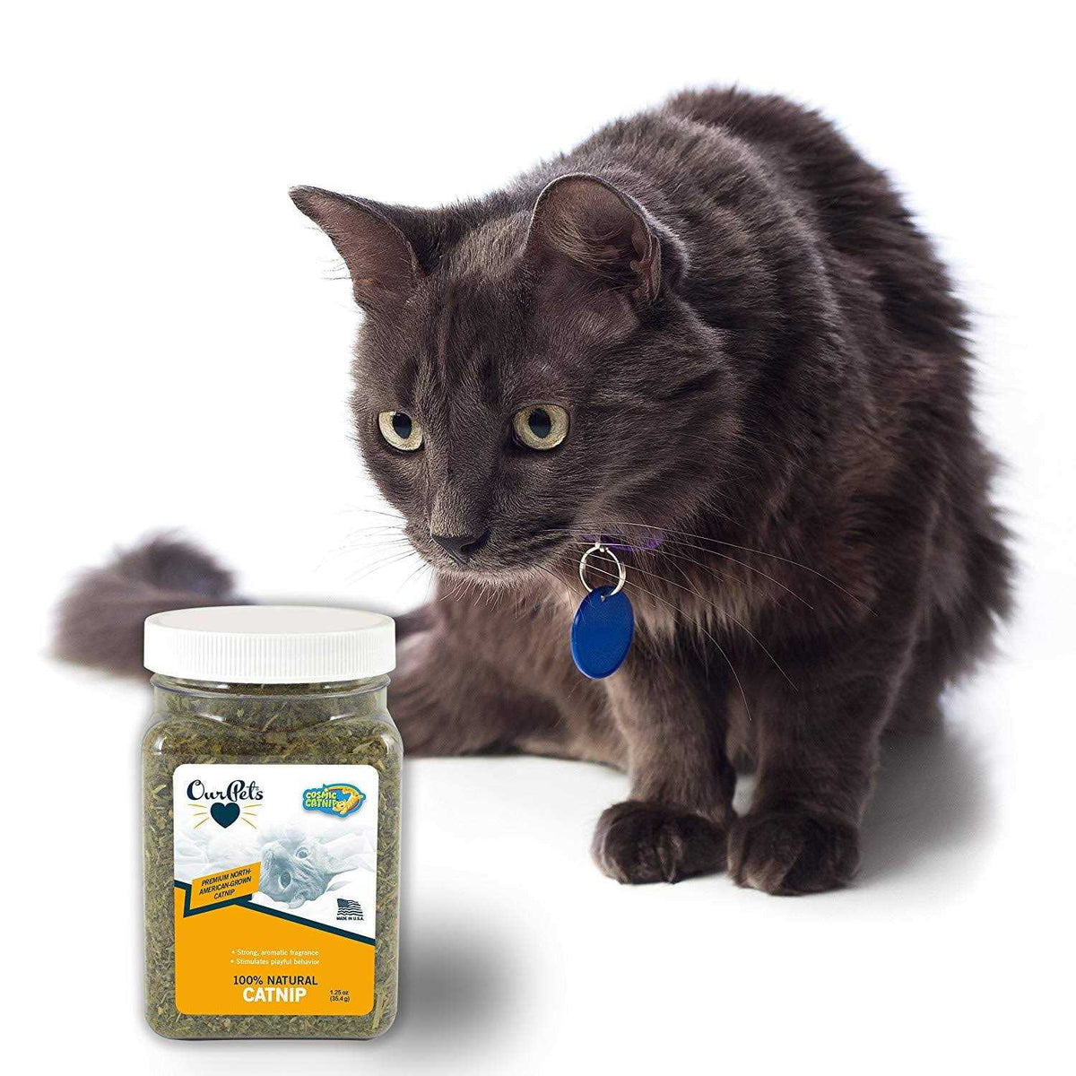Catnip S8115