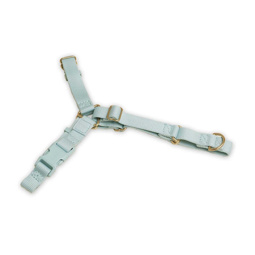 Harness Q110164