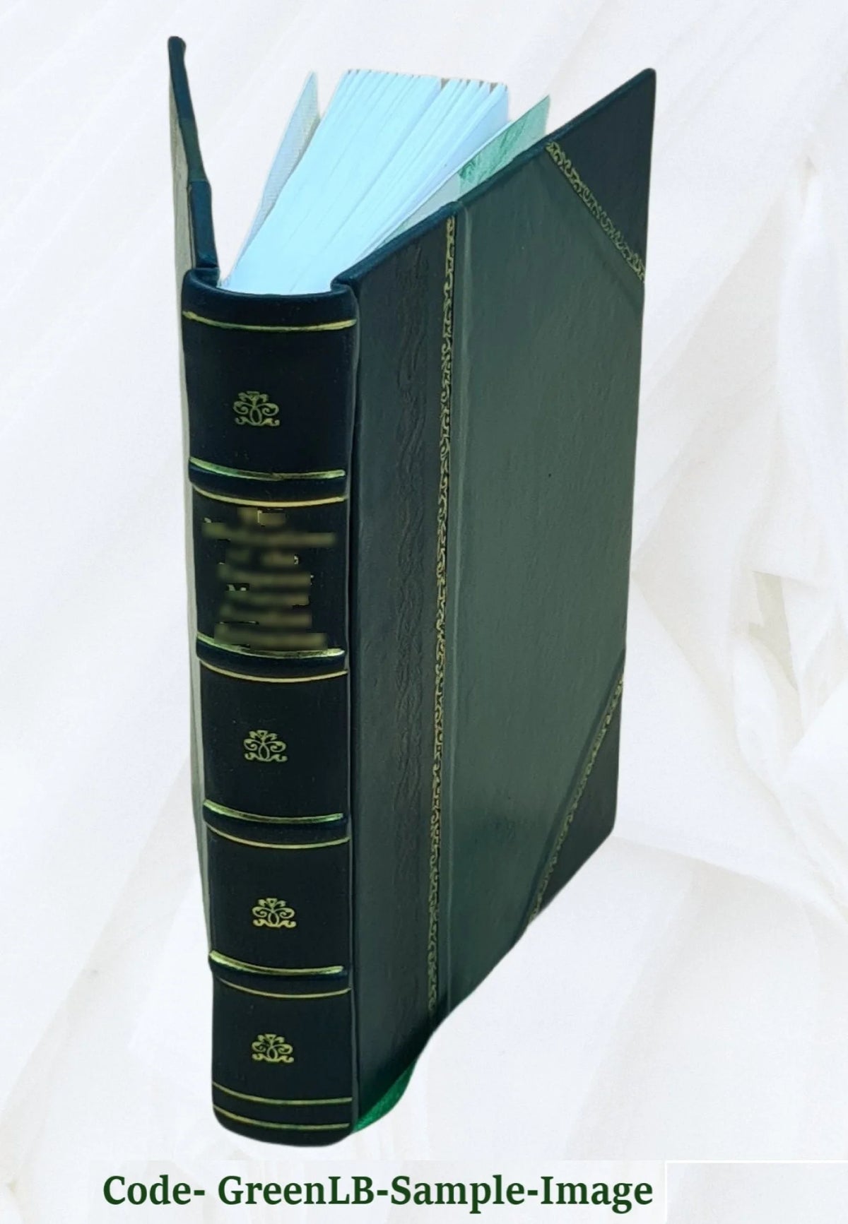 Leather Bound Book V668785