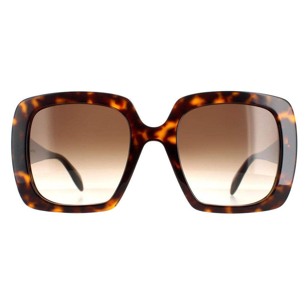 Tortoise Brown Gradient Sunglasses T593