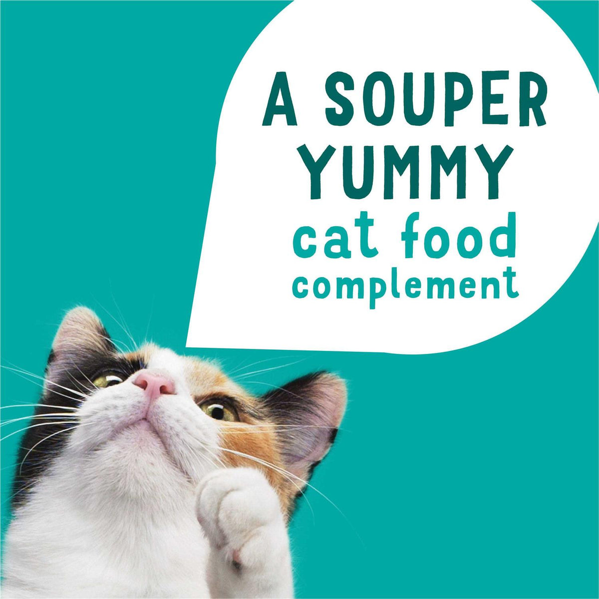 Grain Free Senior Wet Cat Food Complement Skipjack Tuna C47388