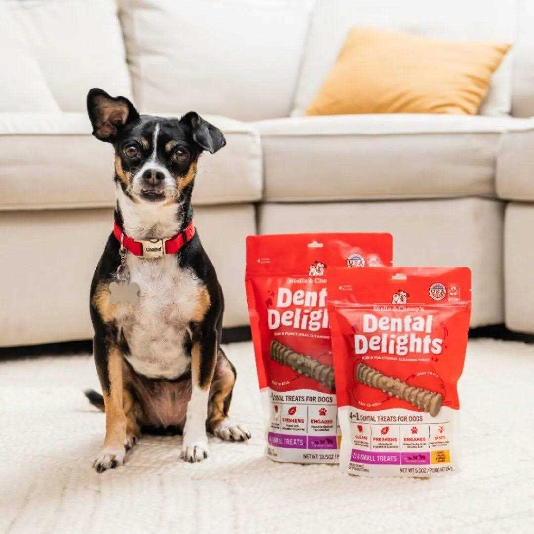 Dog Treats F296