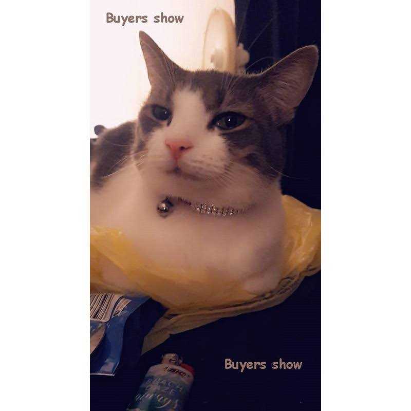 Soft Velvet Adjustable Cat Collar with Bells T485721