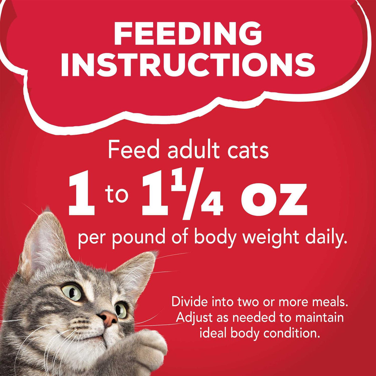 Beef Wet Cat Food U80426