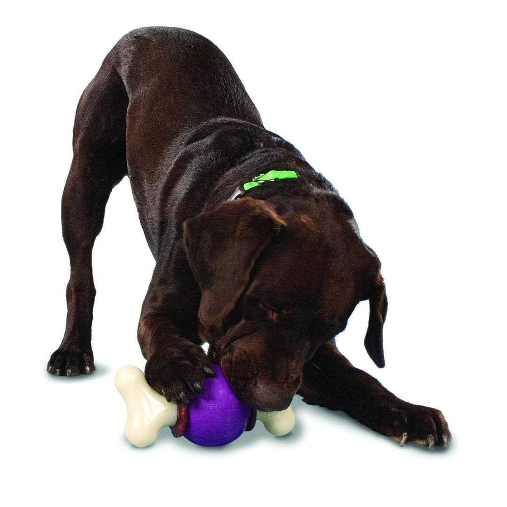 Bouncy Bone V6188