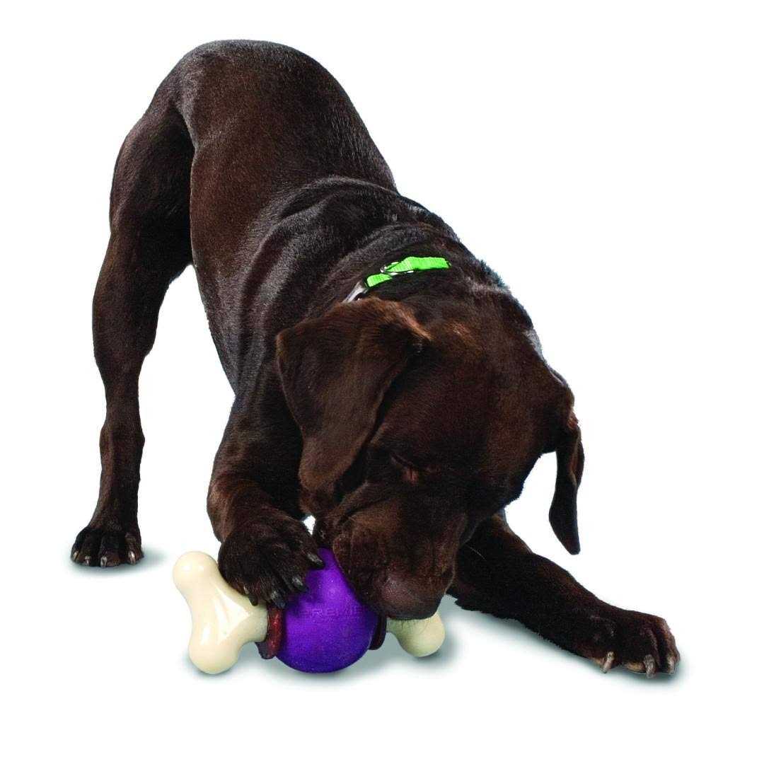 Bouncy Bone V6188