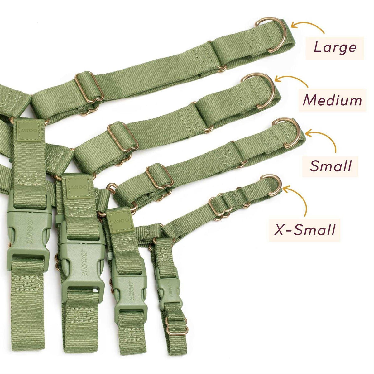 Harness Q110164