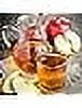 12 oz Apple Juice 24 Pack N979023