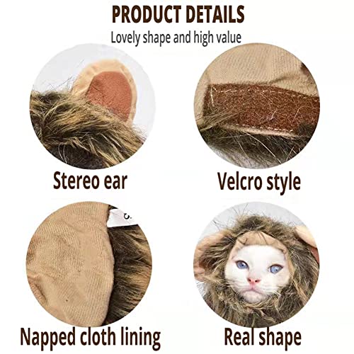 Brown Cat Wig R468