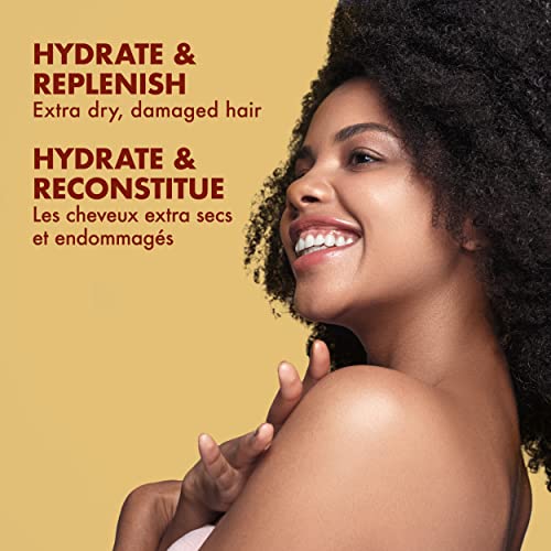 Sulfate Free Shampoo and Conditioner Set 13 Fl Oz X83014