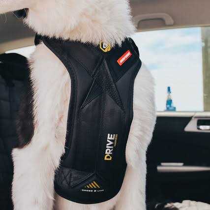 Dog Car Harness Y947689