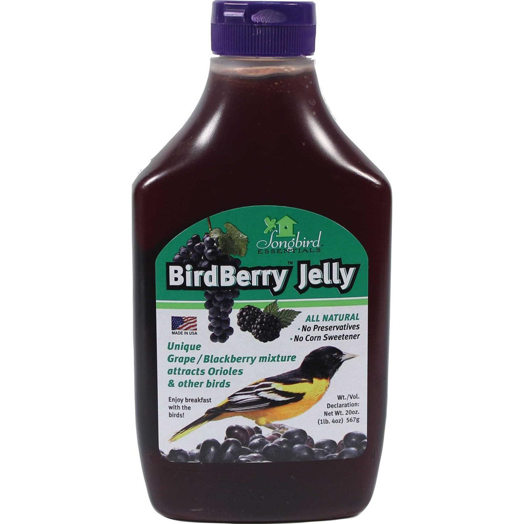 Birdberry Jelly 20 oz H682871