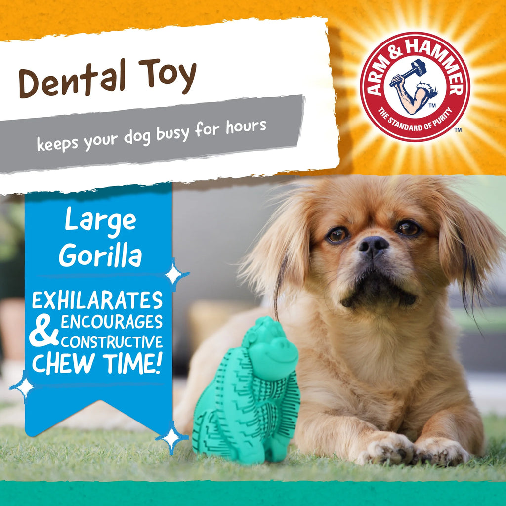 Teal Durable Dog Toy C357526