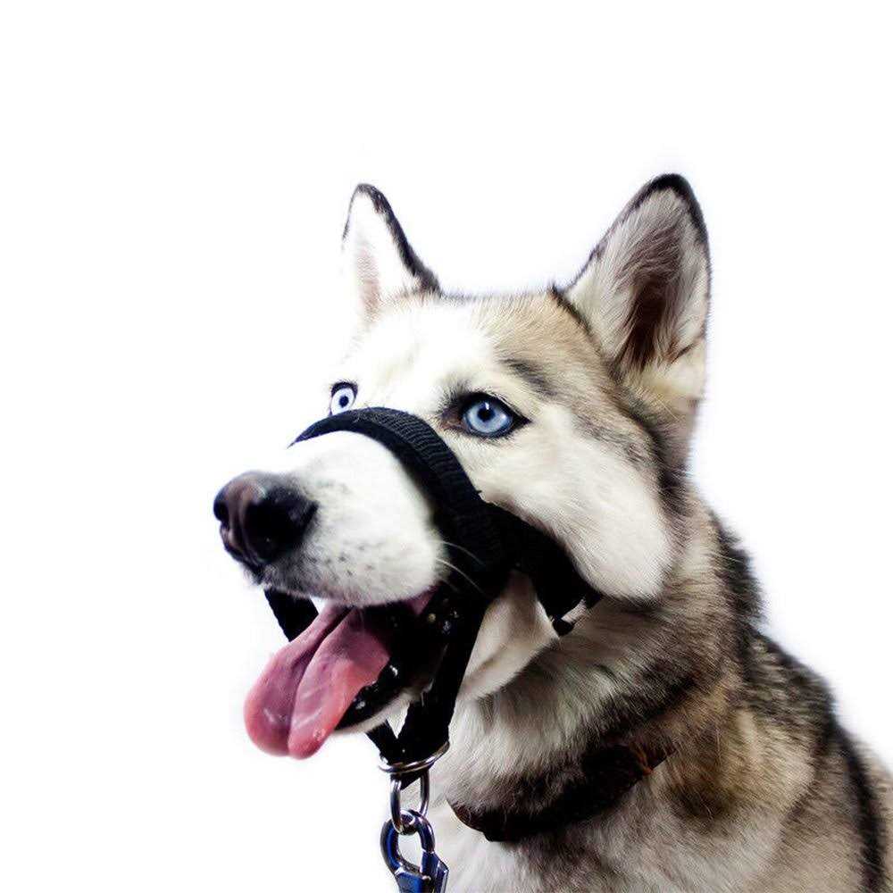 Dog Head Collar No Pull Training Tool F538733