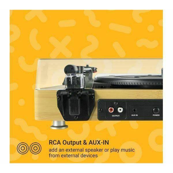 Wood Turntable Player P837880