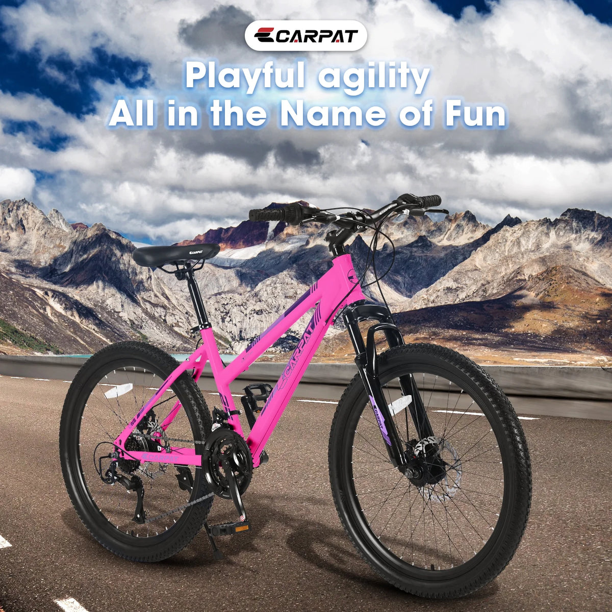 26-inch 21 Speed Women's Mountain Bike B456