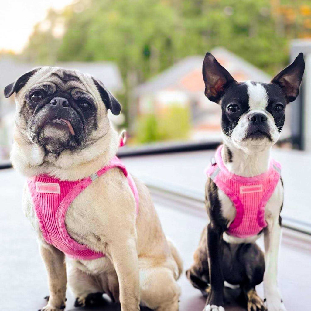Step-In Plush Dog Harness B8336