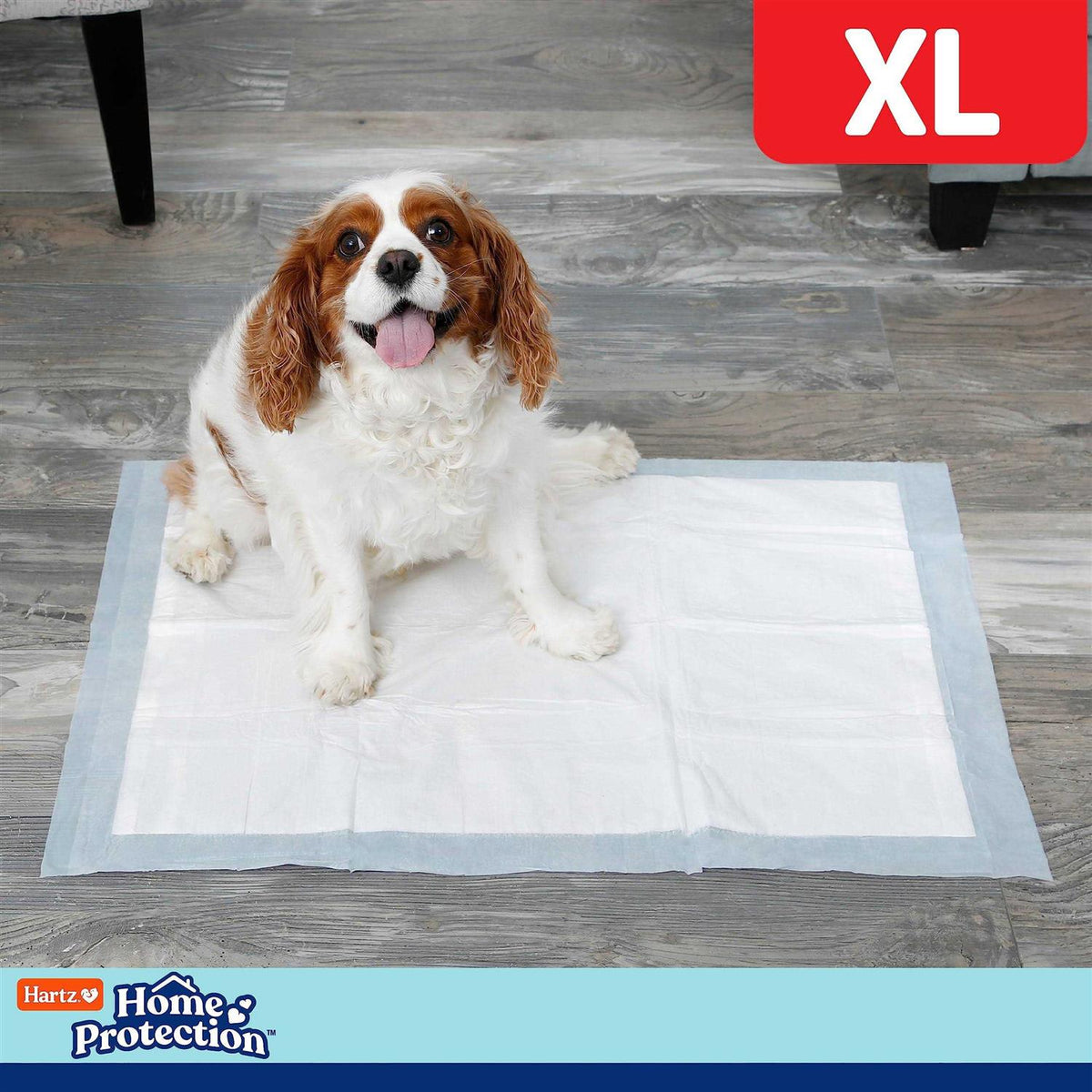 Dog Pads J967