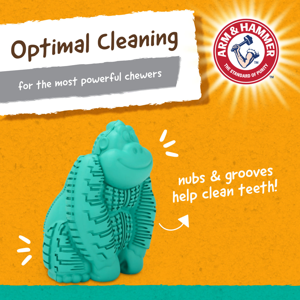 Teal Durable Dog Toy C357526