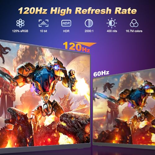 18.5 Inch 120Hz 1080P FHD IPS Portable Monitor E994045