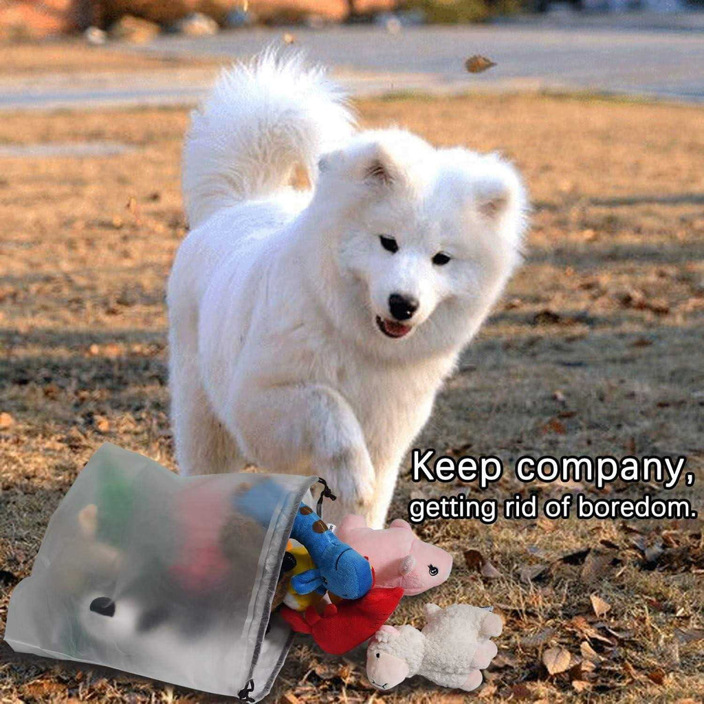 Squeaky Plush Dog Toy Pack 12 D2128