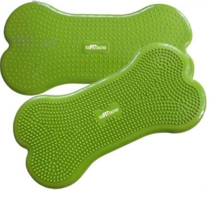 Agility Training Pet Supplies E341317