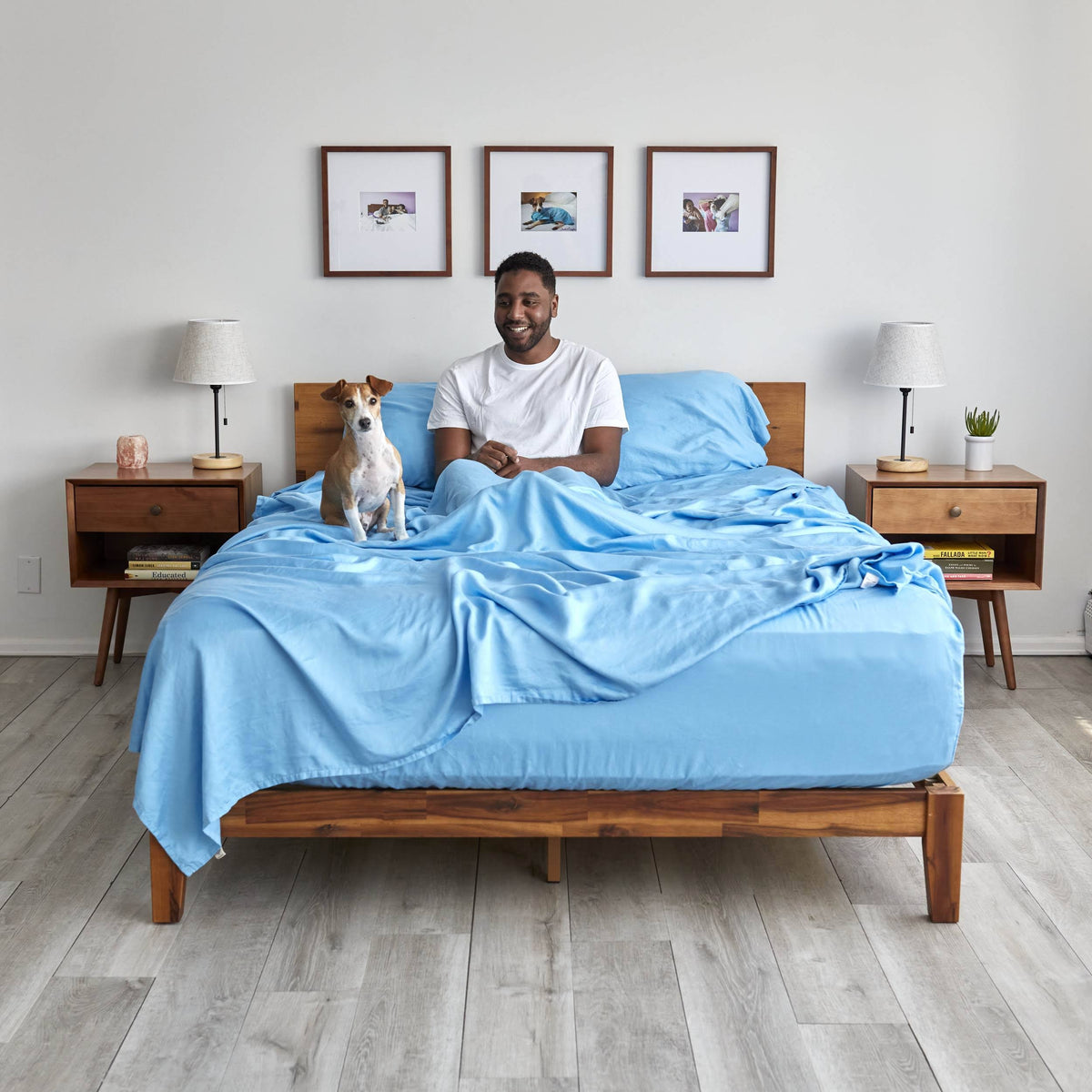 Light Blue Eucalyptus Lyocell Sheet Set C443205