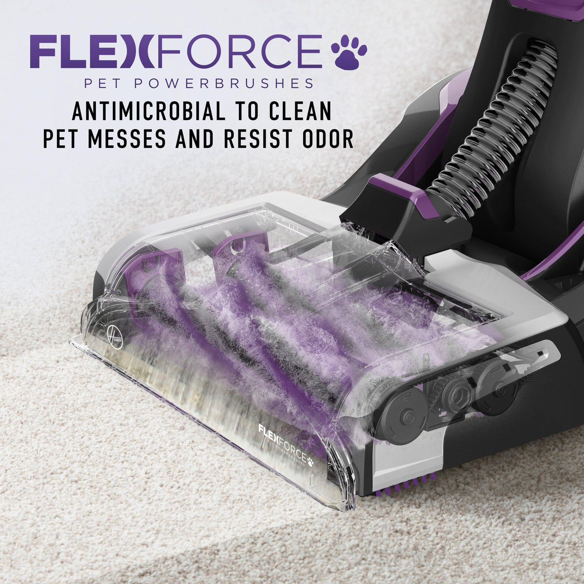 Purple Automatic Carpet Cleaner L460