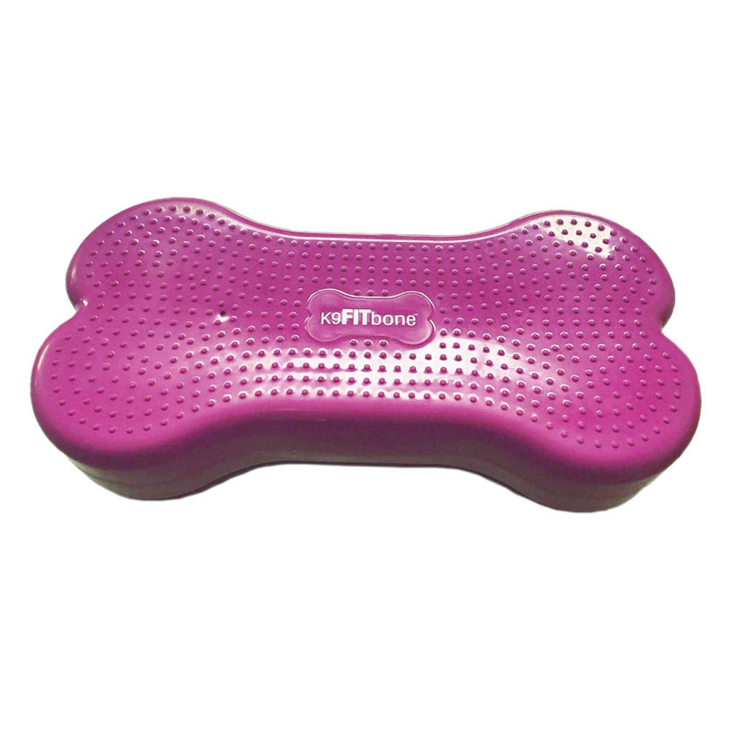 Agility Training Pet Supplies E341317