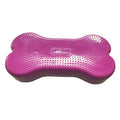 Agility Training Pet Supplies E341317
