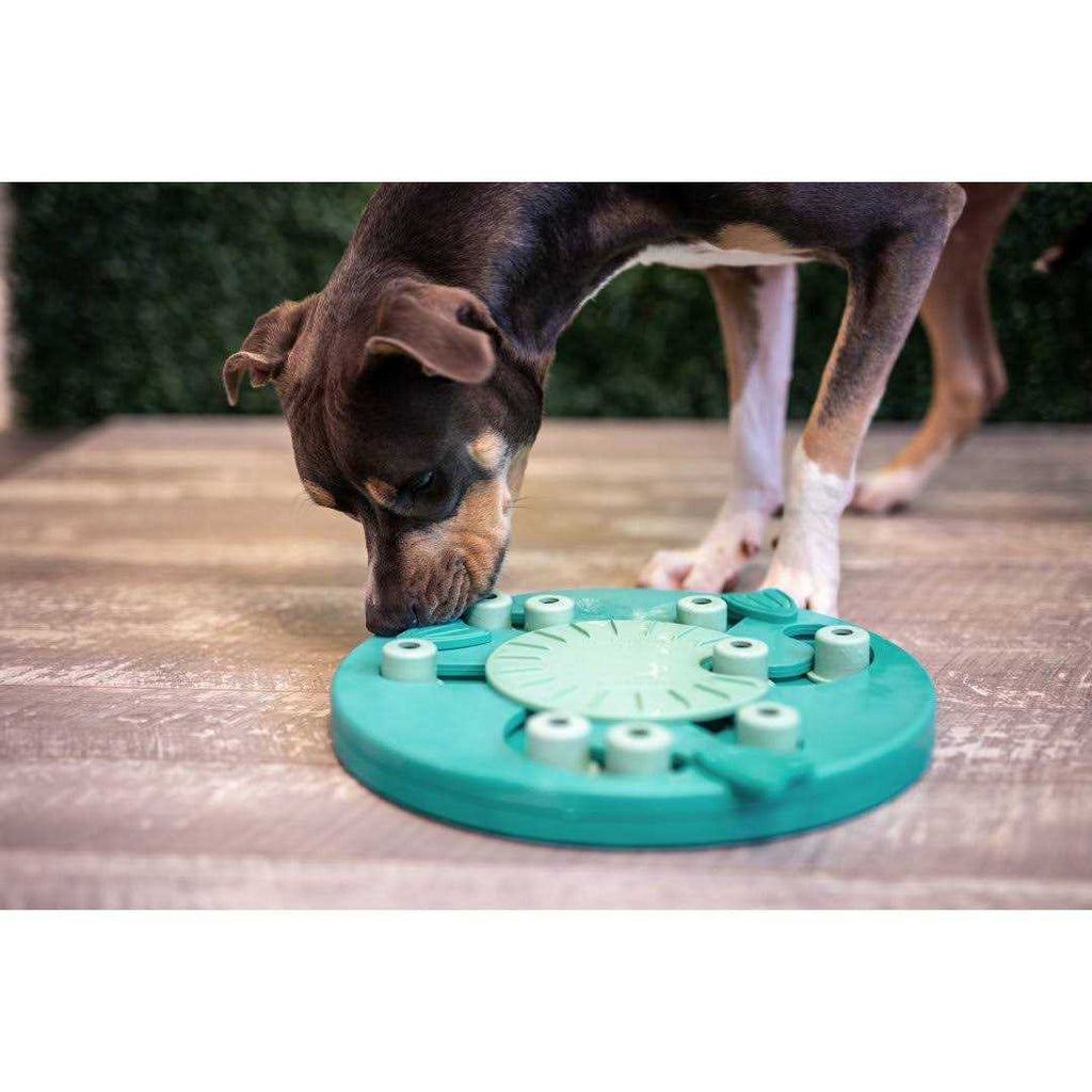 Interactive Puzzle Dog Toy K3501