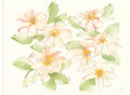 32x24 Canvas Art Z56153