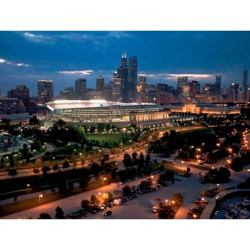 Chicago Bears Soldier Field Giant Removable Wall Mural P155137