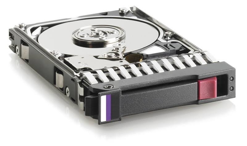 300 GB SAS 10000 rpm Hot-Swap Hard Drive P653841