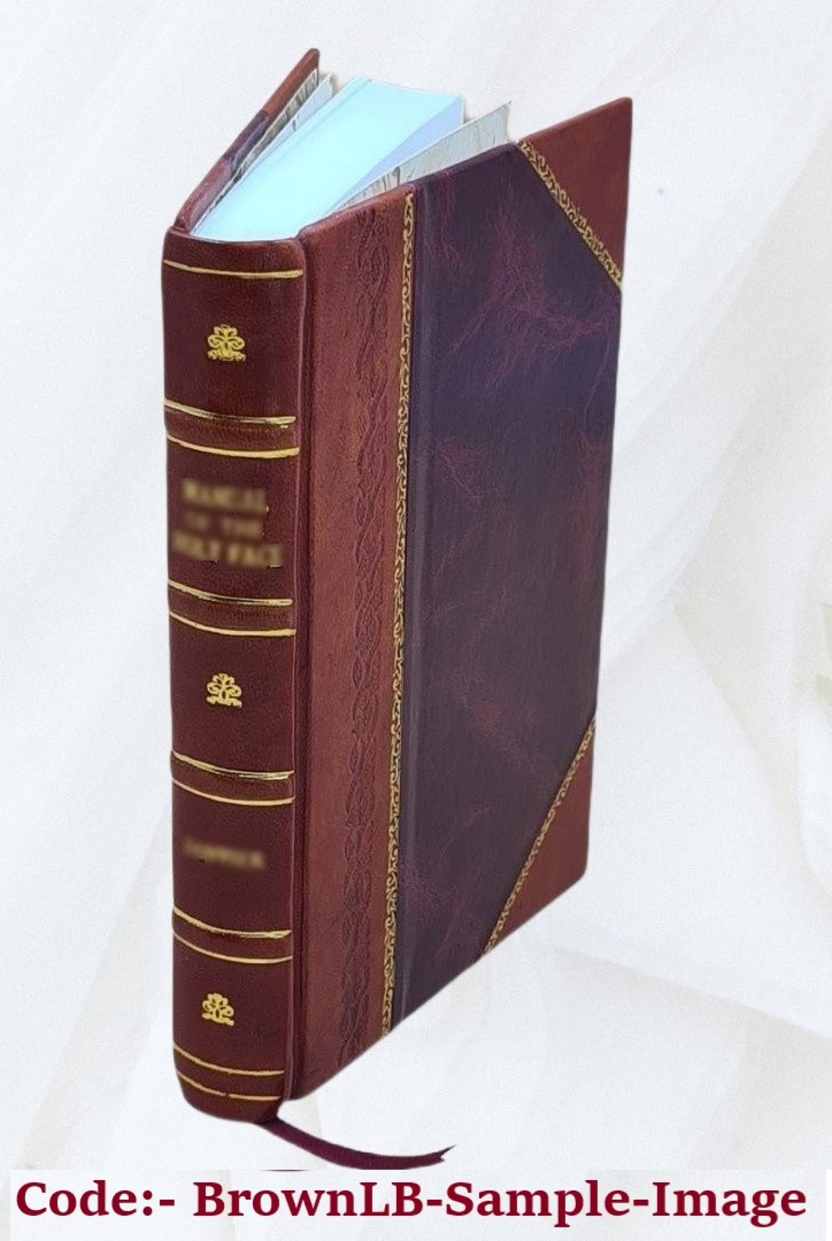 Leather Bound Book V668785