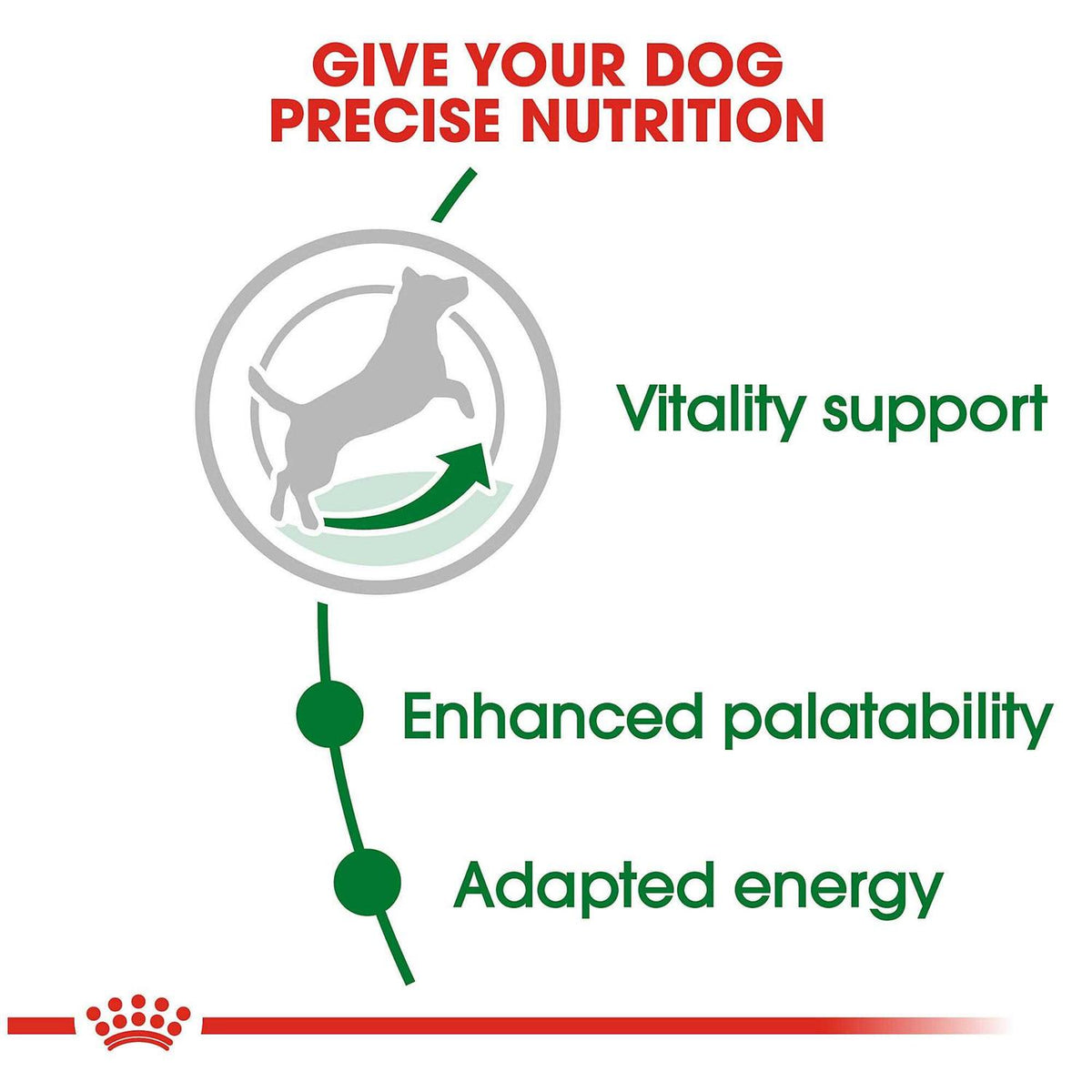 Dry Dog Food B6877