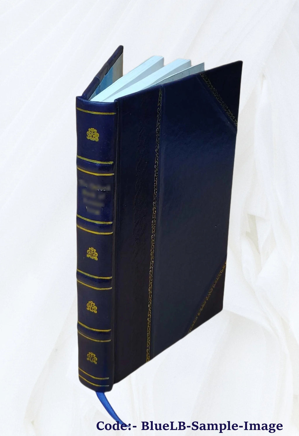 Leather Bound Book V668785