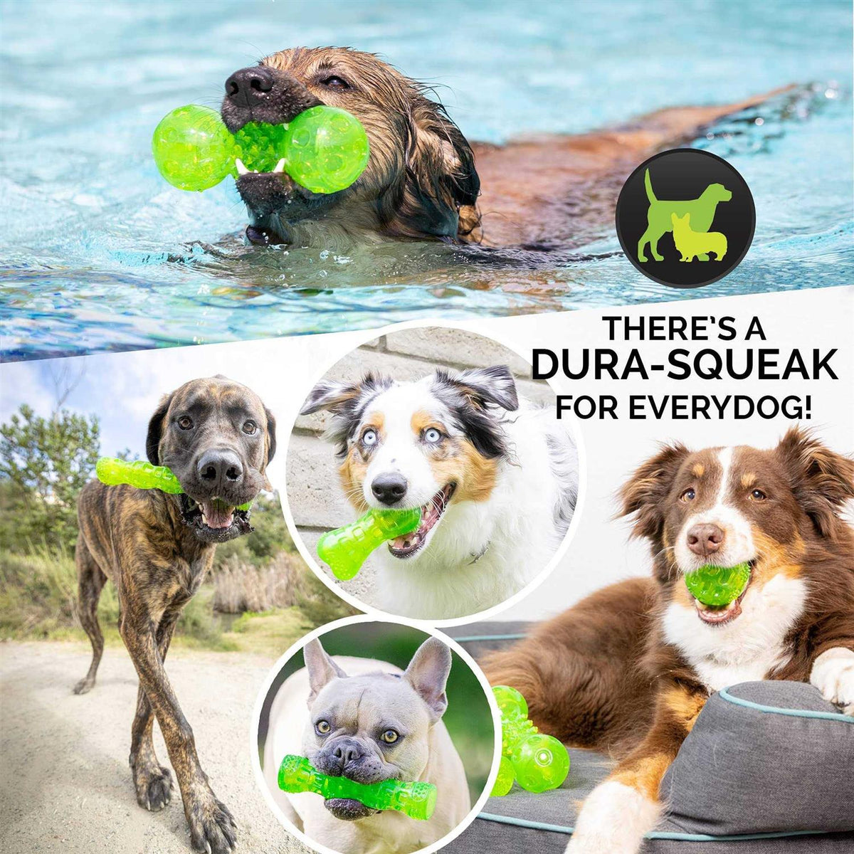 Dura-Squeaks Dog Toy Stick H352538