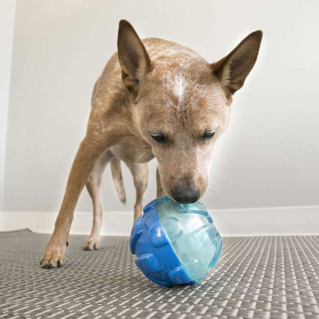 Ball Dog Toy X9943
