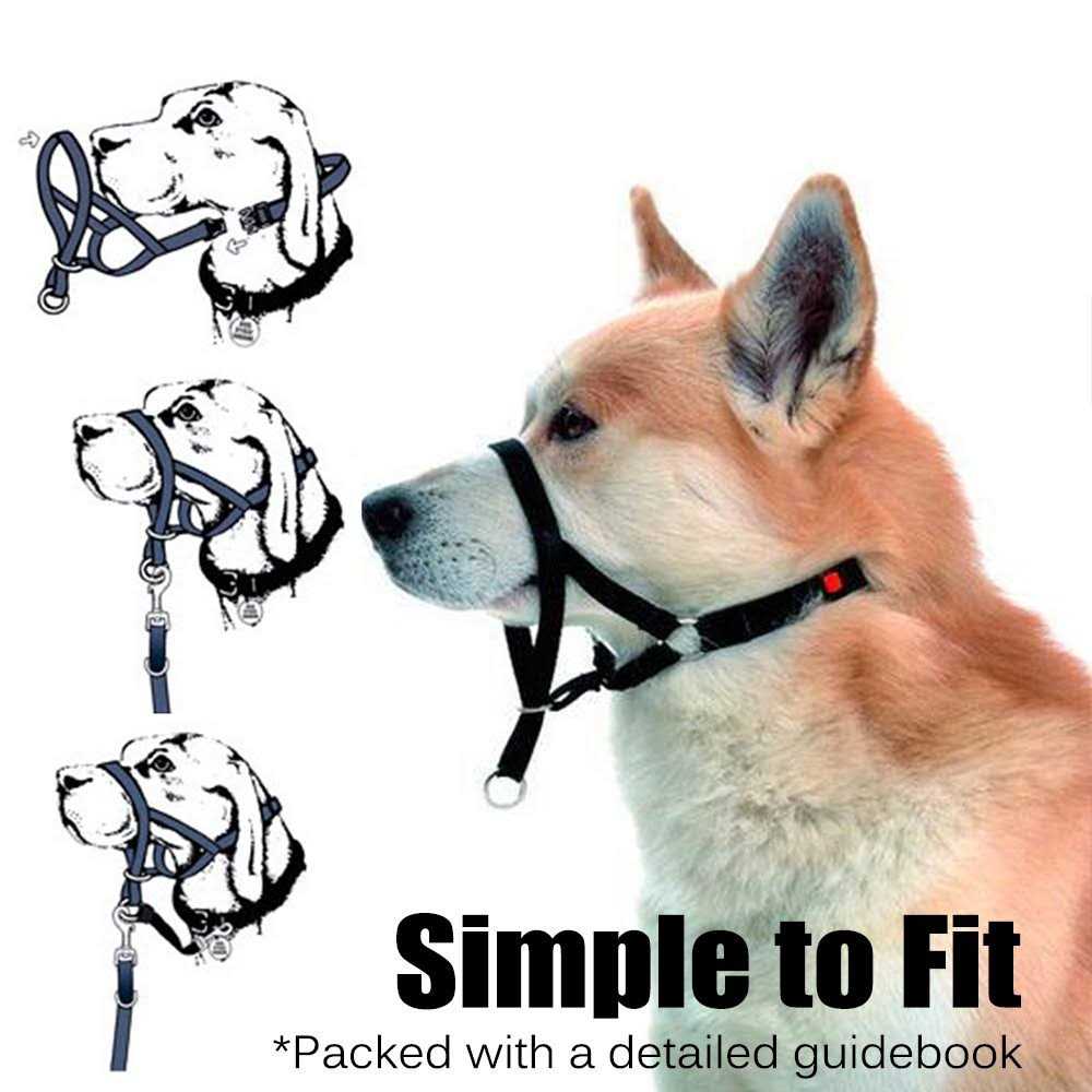 Dog Head Collar No Pull Training Tool F538733