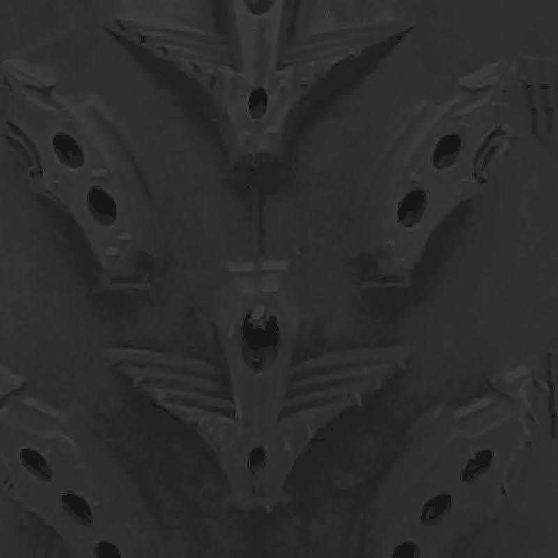 29.5/10.00-12 Tires Z2411