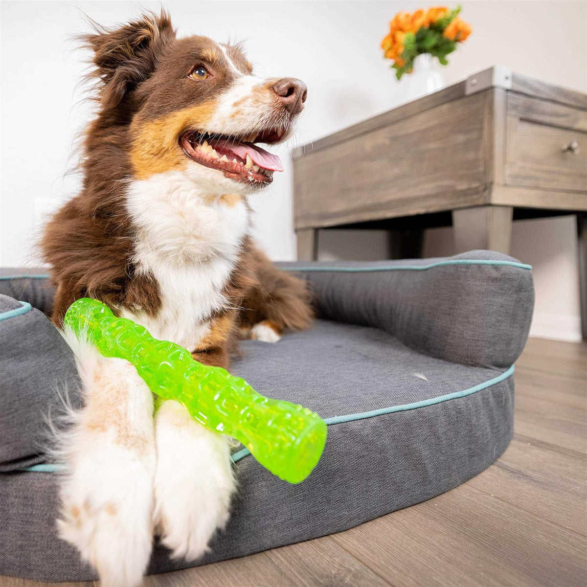 Dura-Squeaks Dog Toy Stick H352538