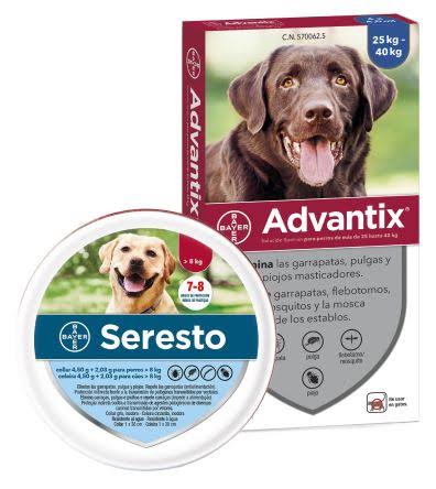 Large Breed Seresto I601636