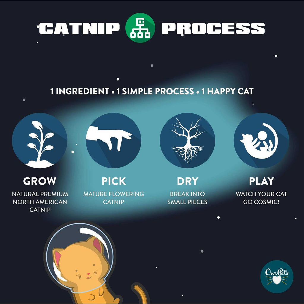 Catnip S8115