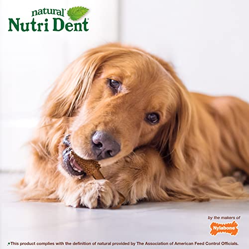 Natural Dog Dental Chews, Large (20 Count) R99167