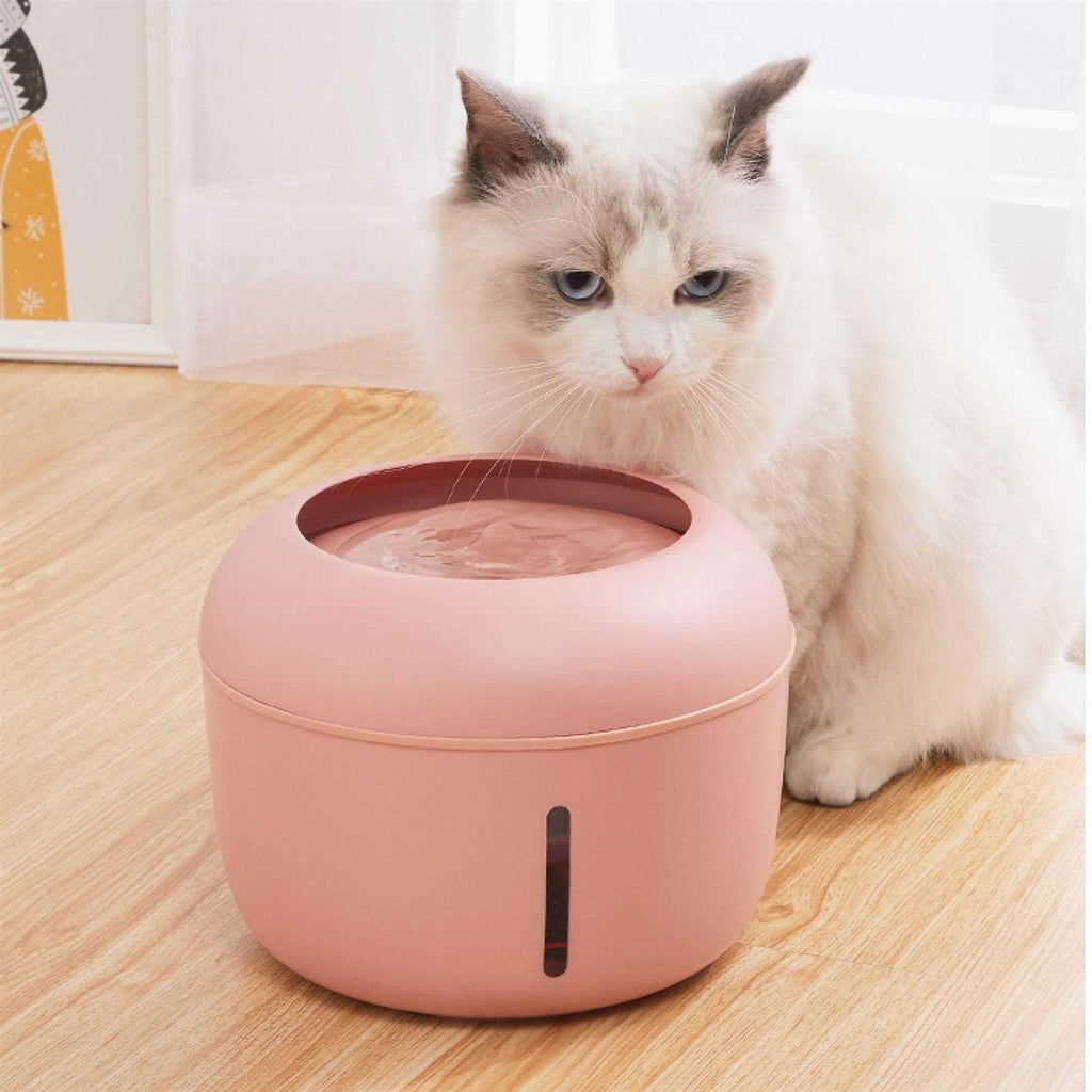 Filtered Dog and Cat Fountain Waterer T85841