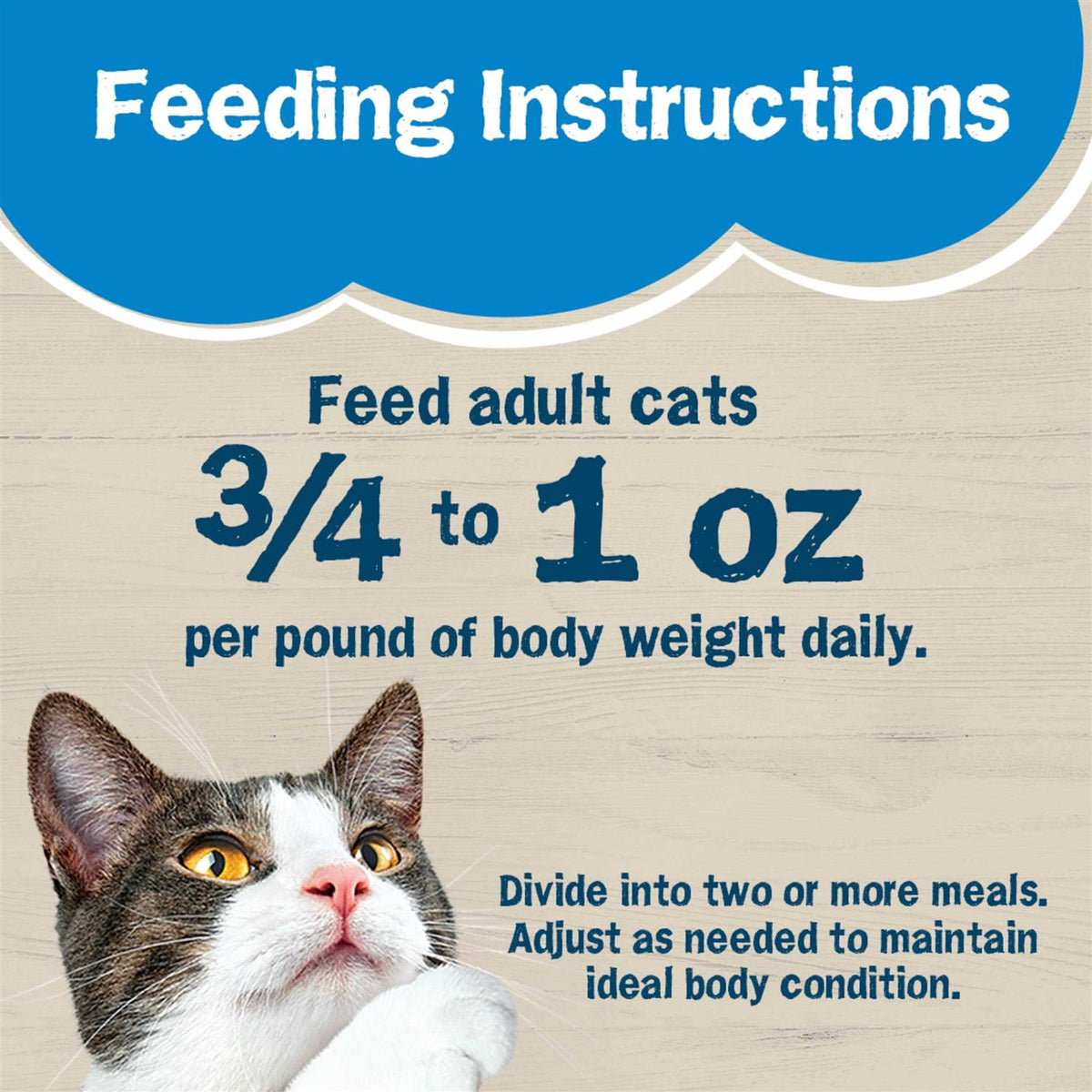 Wet Cat Food Z565280