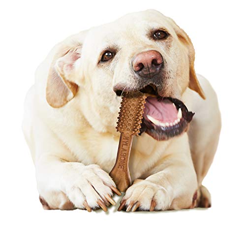 Natural Dog Dental Chews, Large (20 Count) R99167